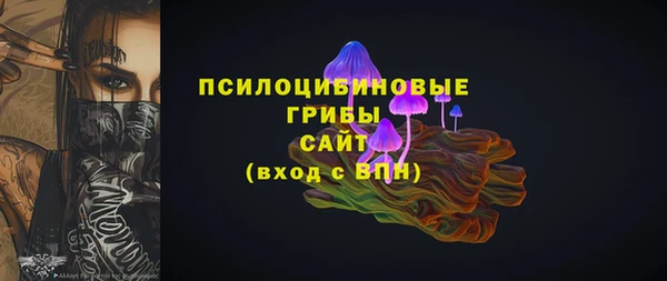 меф Арсеньев