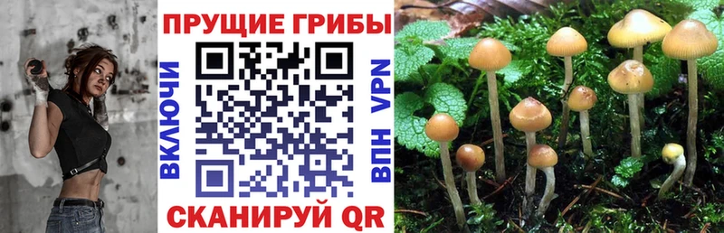 даркнет сайт  Райчихинск  Галлюциногенные грибы ЛСД 