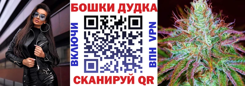 Бошки марихуана OG Kush Райчихинск